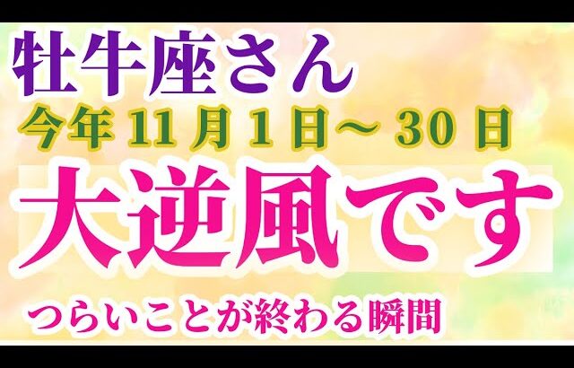 【牡牛座】 2024年11月1日から30日までのおうし座の運勢。星とタロットで読み解く未来 #牡牛座 #おうし座