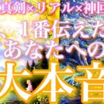 💕真剣×リアル×神回🍁今1番伝えたいあなたへの大本音🦋