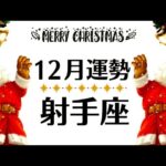 よかった…射手座は本当によくやってきました…あ～射手座でよかった！と思える最高の１２月運勢♐️仕事恋愛対人不安解消・評価や印象【個人鑑定級タロットヒーリング】