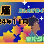 【魚座】2024年11月の運勢✨見た時がタイミング✨