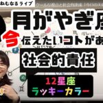 【2024年11月6日星読み】月がやぎ座へ　クールな視点と社会的達成「今日の天体解釈と今！今伝えたい事がある星座は？／12星座ラッキーカラー／ハッピー占い・占星術ライター山田ありす