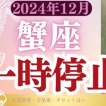 【蟹座】2024年12月かに座の運勢「一時停止」タロットと占星術で鑑定