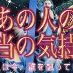 【深い✨相手の気持ち】片思い複雑恋愛タロットカードリーディング🌃個人鑑定級占い🔮