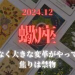 【蠍座】2024年12月✨まもなく大きな変革がやってくる、焦りは禁物💖