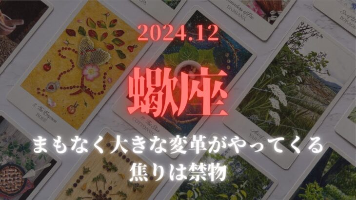 【蠍座】2024年12月✨まもなく大きな変革がやってくる、焦りは禁物💖