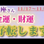 【蟹座】 2024年11月17日から30日までのかに座の金運・財運。星とタロットで読み解く未来 #蟹座 #かに座