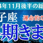 【2024年11月後半の双子座の運勢】星とタロットで読み解く恋愛運・金運・健康運・仕事運