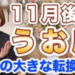 うお座 11月後半の運勢♓️ / 人生の大きな転換期🌈 決着の時❗️愛が循環していく💕【トートタロット & 西洋占星術】