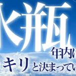 水瓶座🌈【はじめましてルノです】最後まで観て欲しい✨まだ不慣れではありますが最高の結果が出ています☺️