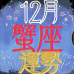 蟹座♋【12月運勢🔮✨】努力が実りご褒美の時到来⁉️🥰一気にステージアップ☝️🩷