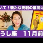 おうし座♉️11月前半🔮動いて！新たな挑戦の幕開け！✨高みを目指して一歩踏み出す！