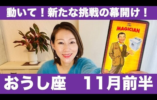 おうし座♉️11月前半🔮動いて！新たな挑戦の幕開け！✨高みを目指して一歩踏み出す！