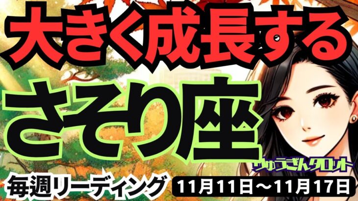 【蠍座】♏️2024年11月11日の週♏️大きく成長する時。失敗も糧になり、着実に道を進む。タロット占い。