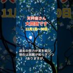 【天秤座】 2024年11月1日から30日までのてんびん座の運勢。星とタロットで読み解く未来 #天秤座 #てんびん座