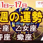 【今週の運勢11月11日から17日】獅子座 乙女座 天秤座 蠍座