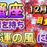 🌹かに座💕2024年1２月前半🌹自分のペースで輝ける仕事運、問題解決のサインに気づいて🌟徐々に復活する気持ち、協力し合えることをしてみよう🌟経済面で癒しが入る、長期視点で考えよう