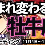 【牡牛座】♉️2024年11月4日の週♉️生まれ変わる私。大切なものを失わず、大きく変化する。おうし座。タロットリーディング。2024年11月