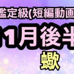 神展開！蠍座素晴らしい運気は鰻上りだよ！超細密✨怖いほど当たるかも知れない😇#星座別#タロットリーディング#蠍座