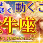 牡牛座♉感動の超神展開!!🌈いよいよ大きく動くこと🦄開運 Taurus 2024〜見た時がタイミング〜Timeless reading〜タロット&オラクルカードリーディング