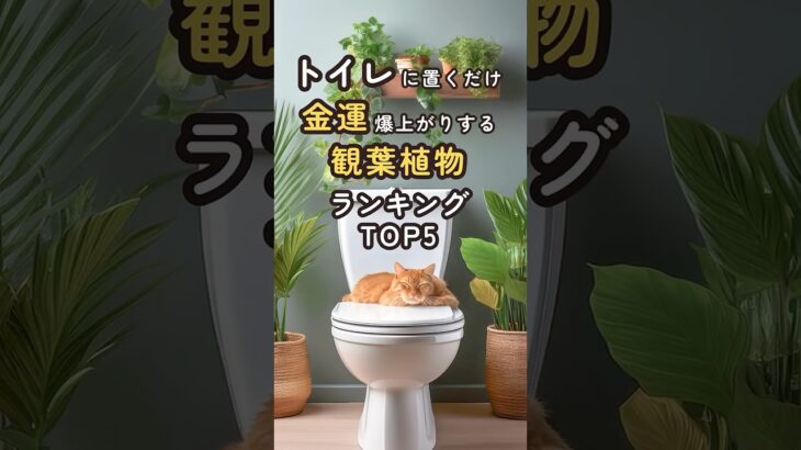 【トイレに置くだけ】金運が爆上がりする観葉植物ランキングTOP5  #shorts #風水 #開運