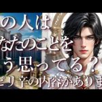 ⚠️ピリ辛あり⚠️あの人はあなたのことをどう思ってる？占い💖恋愛・片思い・復縁・複雑恋愛・好きな人・疎遠・タロット・オラクルカード