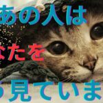 今あの人はあなたの事をこんな風に見ています。本心❤️‍🔥恋愛タロット占い ルノルマン オラクルカード 個人鑑定級に深掘りリーディング