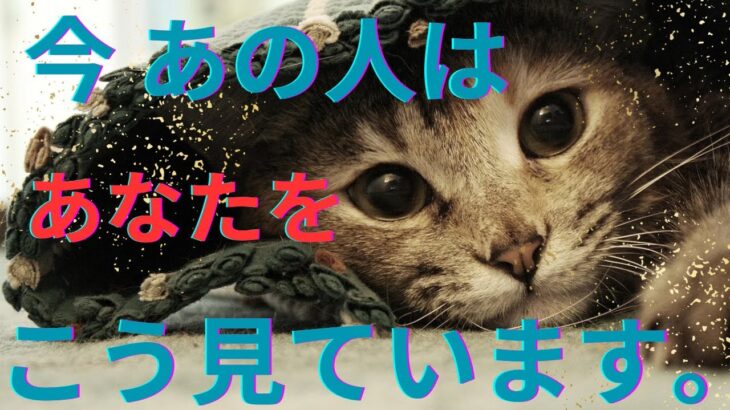 今あの人はあなたの事をこんな風に見ています。本心❤️‍🔥恋愛タロット占い ルノルマン オラクルカード 個人鑑定級に深掘りリーディング