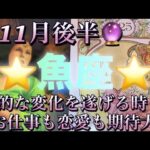 魚座♓️さん⭐️11月後半の運勢🔮劇的な変化を遂げる時‼️お仕事も恋愛も期待大です✨タロット占い⭐️