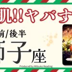 獅子座12月【鳥肌ヤバすぎ】運命がすんごいことになってる❗️最速で幸せになりましょう❗️前半後半仕事恋愛人間関係♌️【脱力系タロット占い】