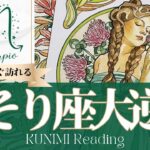 蠍座♏特に権力や財産を得ることができる大逆転🍀もうすぐ訪れる大逆転🍀どんな大逆転が🍀いつ頃訪れる？🌝月星座さそり座さんも🌟タロットルノルマンオラクルカード