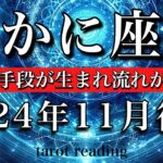 かに座♋︎2024年11月後半　古い教科書を捨てる👋新たな手段が生まれ流れが変わる🌠Cancer tarot  reading