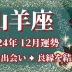 【やぎ座】12月運勢　運命の出会い✨悪縁を断ち、良縁を結ぶとき🌈幸運の鍵は、美しさを大切に【山羊座 １２月】タロットリーディング