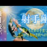 【11月後半✴︎射手座】卒業がテーマ！最終地点や目標をより明晰力を持って再設定◎シンクロ&引き寄せ∞【2024】