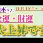 【魚座】 2024年11月10日から16日までのうお座の金運・財運。星とタロットで読み解く未来 #魚座 #うお座