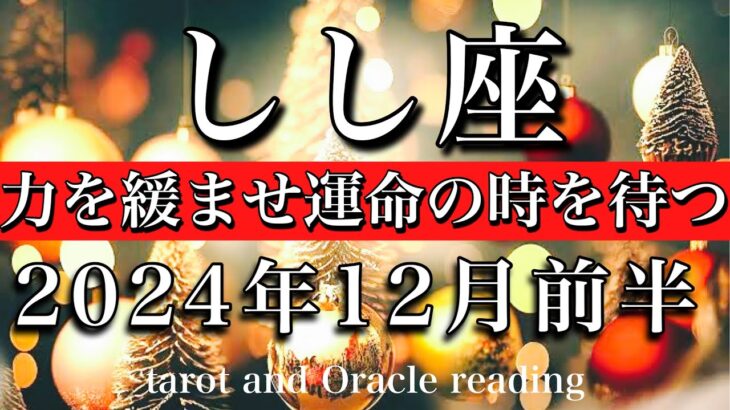 しし座♌︎2024年12月前半 心配しなくて良し🎊力を緩め運命の時を待つ💫Leo tarot  reading