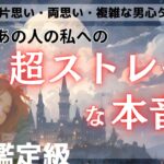 全く読めないあの人の直球ストレート本音受け止めてみませんか？❤️【あの人のど真ん中ストレートな本音】今どうおもってる？貴方様の為にしたい事、様々彼の本音深読みお伝えします【男心アドバイスつき❤️】