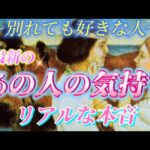 【これこそ本物✨】別れたあの人の超リアルな本音💗最新　深掘り　あの人の気持ち　復縁　個人鑑定級　タロット占い