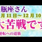 【水瓶座】 2024年11月11日から12月10日までのみずがめ座の運勢。星とタロットで読み解く未来 #水瓶座 #みずがめ座