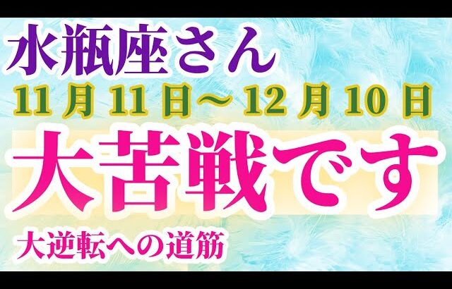 【水瓶座】 2024年11月11日から12月10日までのみずがめ座の運勢。星とタロットで読み解く未来 #水瓶座 #みずがめ座