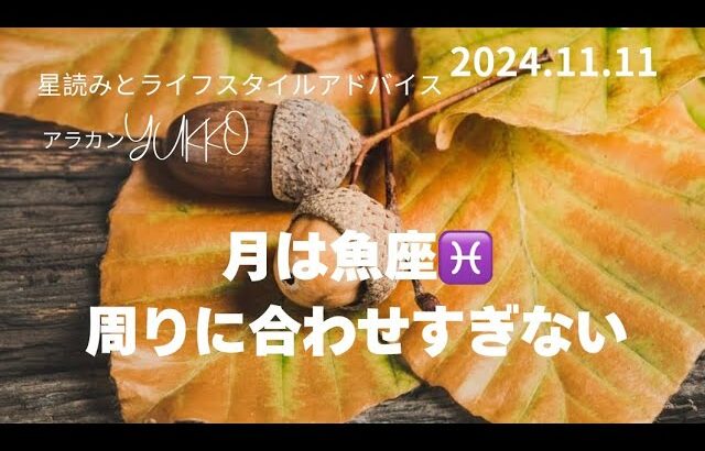 2024.11.11 月は魚座♓️を運行中 共感力高まる 周りに合わせすぎないように アラカンYUKKO星読みとライフスタイルアドバイス