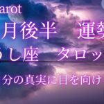 星座占い✨11月後半運勢【おうし座さん】タロット前向きリーディング‼︎年間リーディングですか？ってぐらい大アルカナ‼︎人生の転換期✨