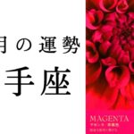 【射手座🎄12月の運勢】かなり濃い誕生月‼️これから大きな役割を担うアナタへ届けたいメッセージ🕊️✨2024年タロット占い