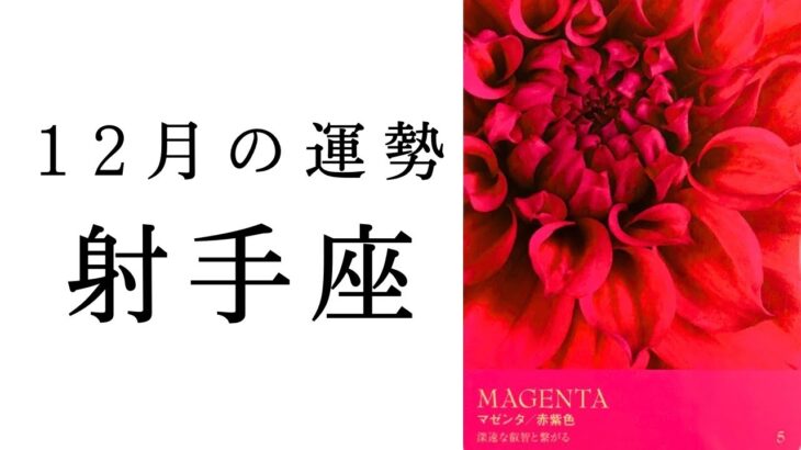 【射手座🎄12月の運勢】かなり濃い誕生月‼️これから大きな役割を担うアナタへ届けたいメッセージ🕊️✨2024年タロット占い