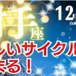 射手座♐️2024年12月★新しいサイクルが始まる！