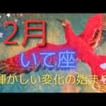 射手座♐1２月⭐古い自分を捨て輝かしい変化の始まり🎉