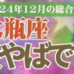 【水瓶座】2024年12月みずがめ座の恋愛運、金運、健康運をタロットと占星術で鑑定