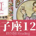 双子座♊12月運勢✨子供にまつわる事や新しい事での吉報到来🌟現状🌟仕事運🌟恋愛・結婚運🌟ラッキーカラー🌟開運アドバイス🌝月星座ふたご座さんも🌟タロットルノルマンオラクルカード