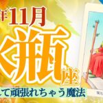 【水瓶座11月】頑張れちゃうのは、愛されて❤️支えられてるから❣️そのためにあなたに必要なスキルとは⁉️🥳🎊🔮🧚2024タロット&オラクル《週ごと》