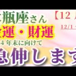 【水瓶座】 2024年12月1日から30日までのみずがめ座の金運・財運。星とタロットで読み解く未来 #水瓶座 #みずがめ座