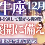 【牡牛座】凄過ぎる!! 牡牛座さんの”超パワー”がこのメッセージを運んできた!!✨【仕事運対人運/家庭運/恋愛運／全体運】12月運勢  タロット占い